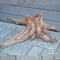 Driftwood Centerpiece TS002 WYSIWYG