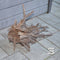 Driftwood Centerpiece TS004 WYSIWYG